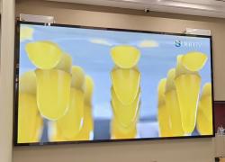 室內(nèi)led顯示屏